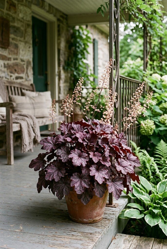 burgundy heuchera coral bells foliage on a shaded front porch